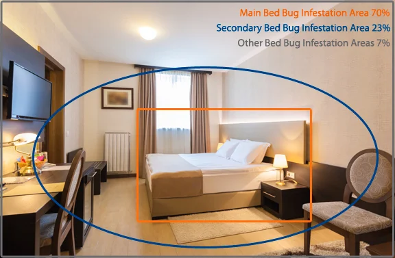 A1 Exterminators how to check for bed bugs