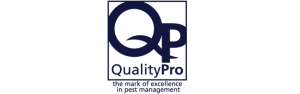 2QP-Logo