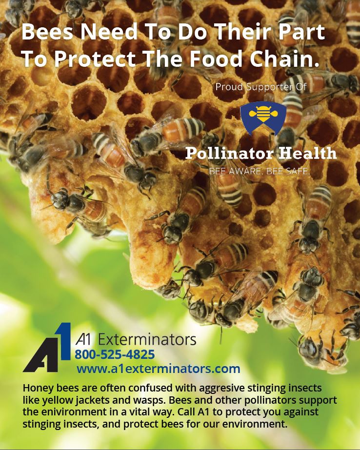 Bee-ad A1 Exterminators