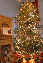 Christmas Tree - Pest Control - A1 Exterminators