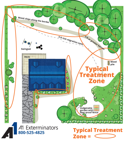 a1-bedbug-infestation-area-breakdown1-300x196