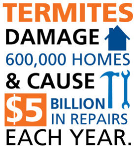 Termite Damage Infographic - A1 Exterminators