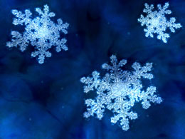 winter_sm